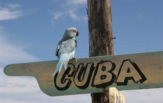 Поездка на Кубу