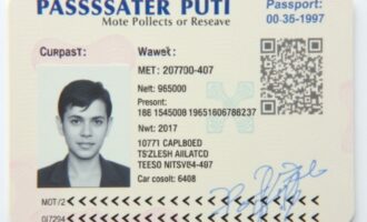 Фото на документы: как сделать снимок, который примут с первого раза